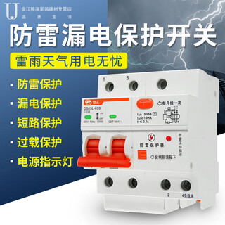 Wangzheng lightning leakage protector 2p leakage switch high power 63a surge leakage protection circuit breaker anti-shock circuit breaker 2p 63a