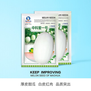 Zhongke maohua melon fruit seeds zhongke honey no. 2 thick-skinned melon seeds with white skin and white flesh xinjiang crispy pear cantaloupe seeds sweet and crisp
