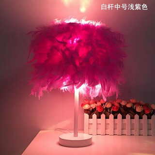 曜添创意简约欧式羽毛台灯卧室床头公主婚房温馨LED生日礼物玫瑰台灯 中号白杆浅紫色羽毛 三档调光