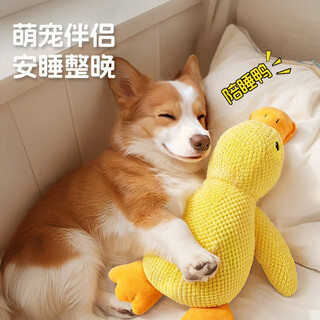 Zigman pet dog toy for dogs to play by themselves to relieve boredom and pleasure, resistant to chewing, grinding teeth and making sounds for puppies and puppies, dog walking and amusing tool