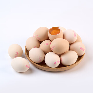 Yellow swan japanese raw-eatable standard eggs 15 pieces 795g