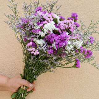 Aiman yunnan flowers dried flower bouquet forget-me-not lover grass combination starry living room real flowers flower arrangement home furnishings pink red white + grass about 30 pcs