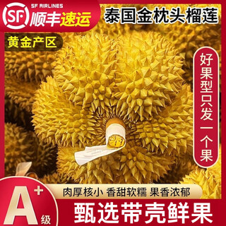 Send spring thai golden pillow durian imported durian whole shelled fresh fruit whole box gifts fresh wholesale fruit gifts golden pillow selected fruit 5-6 jin jin is equal to 0.5 kg