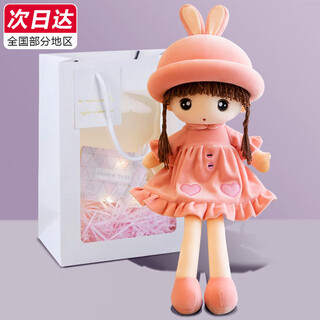 Iris rabbit plush toy doll little girl rag doll barbie doll children's sleeping pillow birthday gift for women