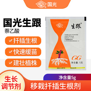 Guoguangshenghe 20% naphthalene acetic acid succulent rose seedlings, fruit tree cuttings, transplanting rooting powder, plant growth regulator