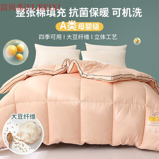 Fulbexi soybean fiber quilt spring and autumn quilt 10jin jin equals 0.5kg winter quilt thickened four-season universal quilt core household double warm soybean quilt - bilateral skin color class a upgraded antibacterial 180x220cm about 6jin jin equals 0.5kg winter quilt