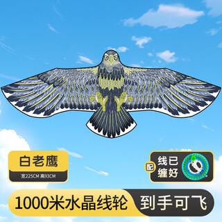 卡之物语风筝成人 大型老鹰风筝大人专用儿童微风易飞新款手工diy 2.4米白老鹰+防倒转1000米