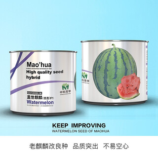 Zhongke maohua fruit seeds unparalleled kirin watermelon seeds anti-crack jingxin 8424 watermelon seeds thin skin red flesh unparalleled kirin 10g/bag (about 160 pieces) disassembled and packed