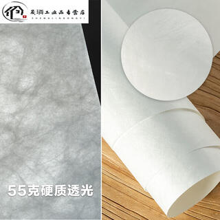 杜邦纸面料透光防水纹理商业装修装饰杜邦纸背景材料布料 55克硬质透光 150cm宽0.5米