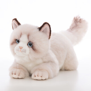Komat ragdoll cat plush toy doll doll ornament pillow valentine's day birthday gift for girlfriend