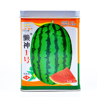 Beishu 8424 watermelon seeds early-maturing special melon fruit lazy god no. 1 lazy man watermelon seeds 100g/barrel