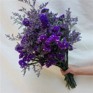 Aiman yunnan flowers dried flower bouquet forget-me-not lover grass combination starry gypsophila living room real flower arrangement home furnishings purple + grass about 30 pieces not excluding flower basket