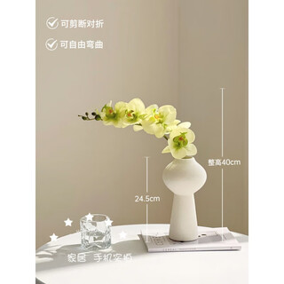 Flower e flow phalaenopsis artificial flower fake flower table decoration light luxury high-end flower arrangement dining table floral decoration home decoration 1 branch green smoke + gourd round bottle