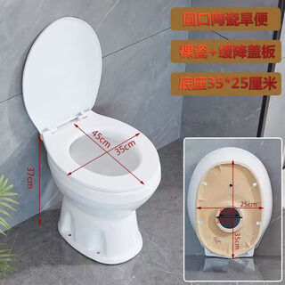 旱厕坐便器陶瓷老人孕妇马桶农村改厕蹲坑改坐便直通式免冲旱坐便 圆孔+升级加厚缓降盖板 220mm