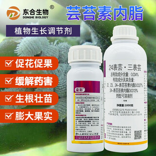 Donghe 28 high-brassinolide plant growth regulator promotes roots and seedlings to promote growth pesticide agricultural use 1000ml