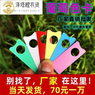 Plant mark mark mark mark watermelon card melon fruit watermelon brand label watermelon brand grape mark thickened grape watermelon card red pink 3000