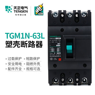 JPHZNBTGM1N63L3300塑壳断路器3P三相3310空开带分励脱扣辅助 63A TGM1N-63L33003P