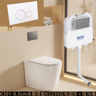 威迪亚落地隐藏马桶分体墙排坐便器后排水座便入墙矮水箱马桶小户型坐厕 K301水箱白色圆形按钮＋53cm马桶 其他/other
