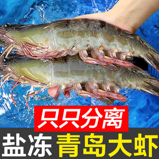 Dongshang royal shrimp qingdao prawn base shrimp fresh green prawn white prawn sea prawn prawn ice prawn frozen shrimp fresh shrimp seafood 3.3jin jin is equal to 0.5kg (net weight) salt frozen prawn single frozen 17-21cm extra large king shrimp