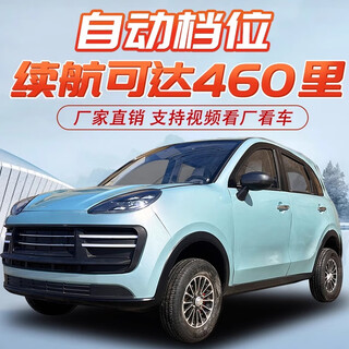 Four-wheeled electric vehicle, adult household range 300 kilometers, electric vehicle, small battery vehicle, gas-electric dual-purpose new energy electric vehicle, elderly walking electric vehicle, laotou le, basic model (battery only)