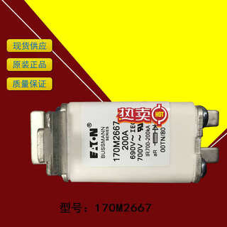 170m2615/2616/2617/2618/2619/2620/2621 basman fuse/fuse 170m2615 690v 125a