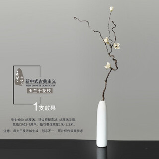 Aesthetic hacker dry branches decoration dry branches flower arrangement living room floor-standing dried flowers decoration home furnishings real flower art landscape dry branches magnolia dried flower vine branch single branch does not include vase