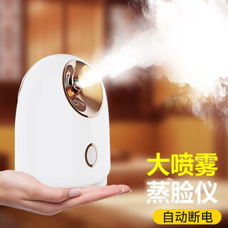 Aseblarm facial steamer humidifying nano hydrating facial hot spray machine beauty instrument steaming instrument household open pores detoxification basic white 200ml