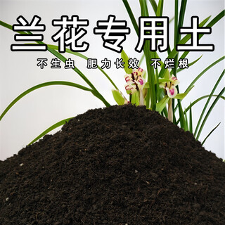 Suelo especial para orquídeas, suelo nutritivo especial para orquídeas, suelo para cultivo de flores, fertilizante general para suelo para plantar en macetas, suelo especial para orquídeas 9,5 jin jin equivale a 0,5 kg *