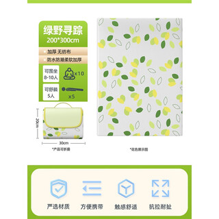 Aoran picnic mat camping mat moisture-proof thickened outdoor ground mat lawn mat picnic cloth portable outdoor tent mat thickened waterproof feiye 200*300