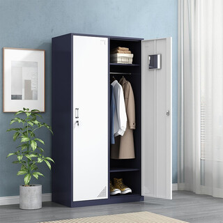 Shangliuxin two-door locker, thickened staff locker, dormitory locker, lockable iron locker