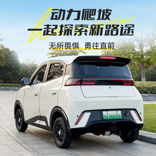 Xingpeng haiou's new four-wheel electric car for women, small household gas-electric car, new energy transportation battery car, laotou le, lithium battery top version + gas + air conditioning