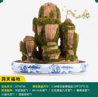 Smvp boutique indoor natural water-absorbing stone landscaping, water stone ornaments, landscape bonsai, flowing water, rockery micro landscape, dongtian paradise (complete set)