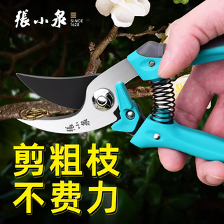 张小泉花艺剪刀修枝剪园艺园林剪刀树枝果树专用剪枝强力剪刀 春悦·润系列整枝剪185mm