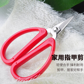 大吉不锈钢剪刀 灰厚脚趾甲小剪子 电子厂短头剪 修美甲剪