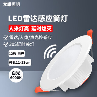 Fanyao embedded radar sensor downlight led smart corridor ceiling light 12w-opening 11-13cm