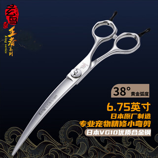 Black bird master pet scissors professional pet grooming scissors set straight curved scissors fish bone scissors dental scissors beautician shop tools bs 6.75 inch comprehensive small bend