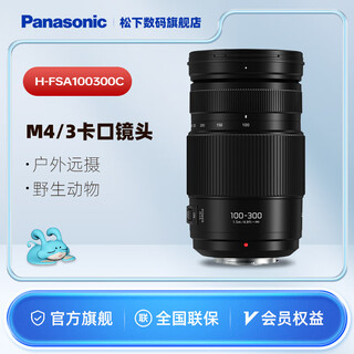 Panasonic 100-300mm f4.0-5.6 second generation mirrorless digital camera lens telephoto lens m43 mount black macro 4/3 system interface