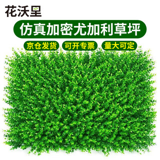Huawoli simulated lawn (encrypted eucalyptus 40*60) plant wall green plant wall fake lawn turf background wall decoration