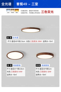 Japanese eye-protecting ceiling lamp for bedroom wabi-sabi style simple ultra-thin walnut room nordic balcony aisle study lamp high-end puri combination-package 49 three-bedroom-