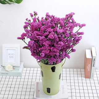 Aiman yunnan forget-me-not dried flowers real flower bouquet air-dried natural living room decoration decoration large bouquet of flowers and stars sn6981 forget-me-not rose red extra large bouquet 2jin jin equals 0.5 kg