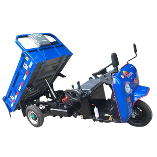 Ba gang wuzheng agricultural vehicle wuzheng group agricultural tricycle xiaofuniu diesel electric tricycle shandong wu blue 18 hp