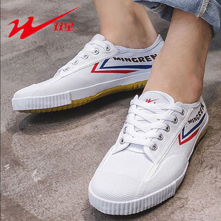 Double star bate running shoes, track and field training shoes, special physical examination shoes for high school entrance examination, men and women's morning practice tai chi martial arts shoes, canvas white shoes, white 42