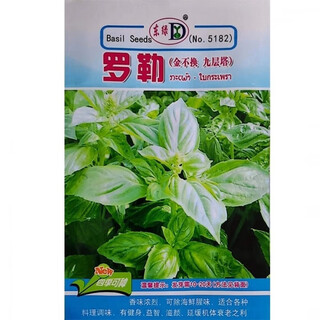 Basil seeds gold does not change potted edible gold does not change seeds chaoshan nine-story tower high balcony potted plants for spring and autumn sowing basil gold does not change seeds original 5 packs about 1300 capsules++