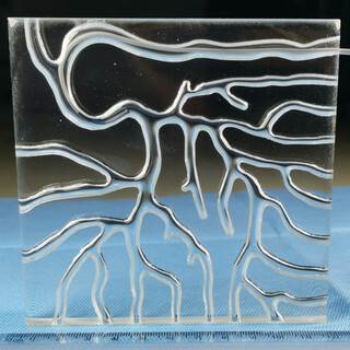 Coronary intervention simulator cad-15 transparent 15 transparent