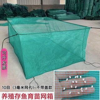 Fish farming cage, fish storage cage, bullfrog, eel fry cage, thickened cage, custom-made fishing net, aquaculture cage, 10 mesh (3 mm mesh) without cover, 1 meter long-1 meter wide-1 meter high