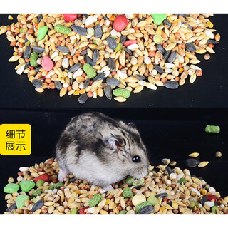 Cute hamster food nutrition self-prepared food golden bear food bear food dwarf staple food freeze-dried self-prepared feed snack supplies upgraded full price grain nutritional food 2500ml