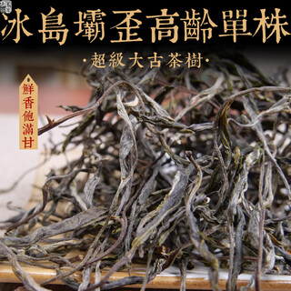 Mingguan zhongpin 23-year-old spring tea, icelandic nanpo old single ancient tree loose tea, yunnan super large ancient tea tree, pu'er tea loose tea 500g