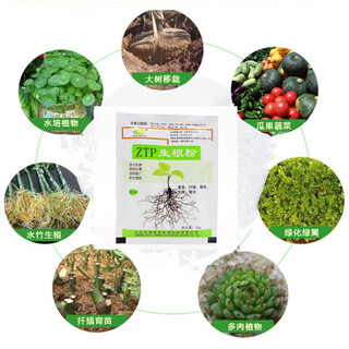 New powerful rooting agent for spraying leaves, rooting, cuttings, trees, quick-acting root transplanting, rooting powder, root promotion and root strengthening, 10 grams of rooting powder, 10 packs, store manager