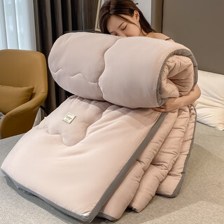 Aisiju thickened warm quilt winter quilt core single student dormitory spring and autumn thin 1.5m quilt double 1.8m space quilt universal for all seasons iceberg camel 150*200cm (6jin jin is equal to 0.5kg)