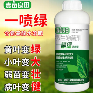 A spray of green amino acid foliar fertilizer for vegetables and fruit trees, garlic, leeks, scallions, yellow leaves turn green, agricultural water-soluble fertilizer 1000ml